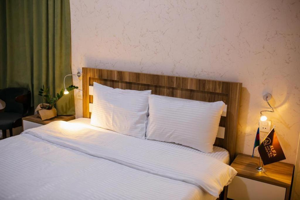 Alfa Hotel Bakoe Buitenkant foto
